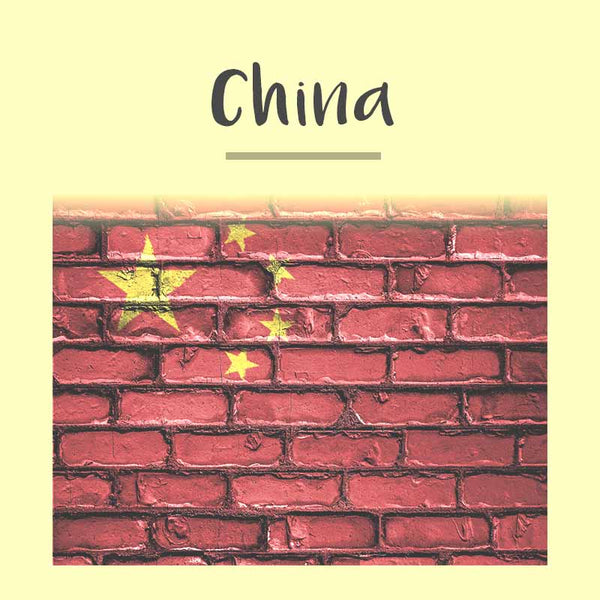 China Visa Photo - 33x48 mm - Tomamor DIY Passport Visa Photo