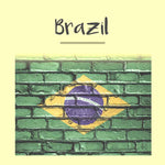 Brazil Passport Photo - Tomamor DIY Passport Visa Photo