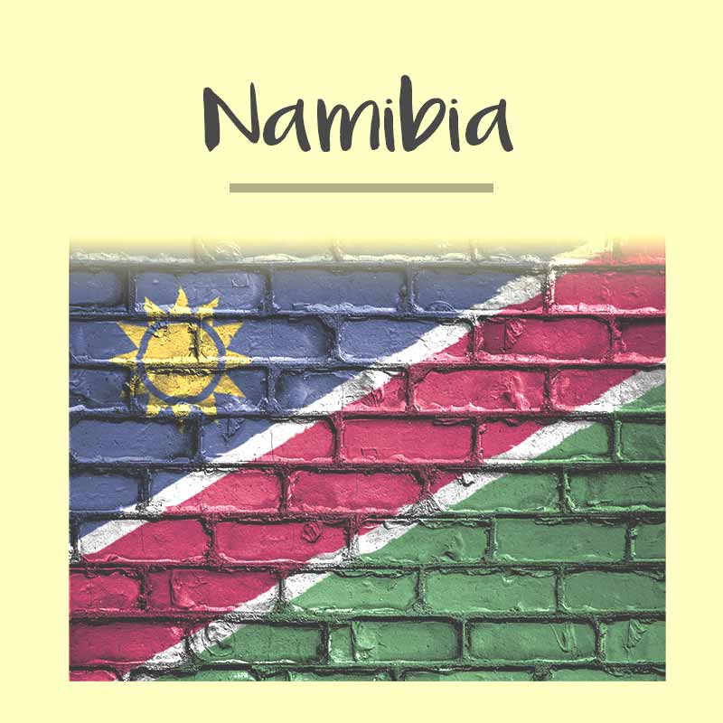 Namibia Visa Photo - Tomamor DIY Passport Visa Photo