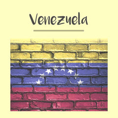 Venezuela Visa Photo - Tomamor DIY Passport Visa Photo